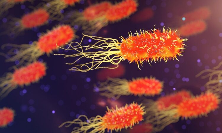 bacteria 3658992 1280