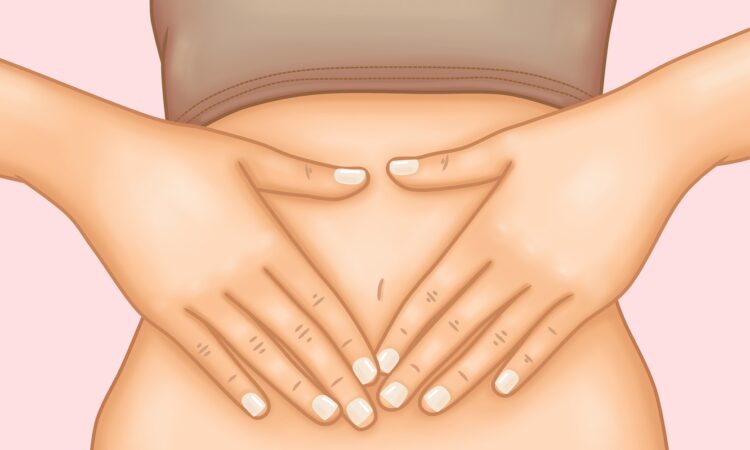 stomach 5671356 1920