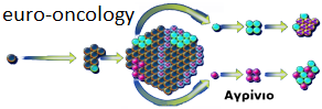 Euro Oncology